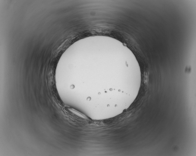 X0000111890915200908201317