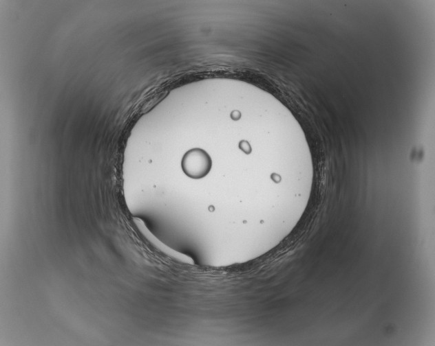 X0000111890916200908201317