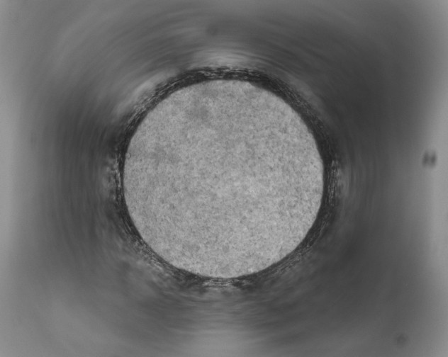 X0000111890918200908201317