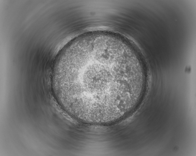 X0000111890921200908201317