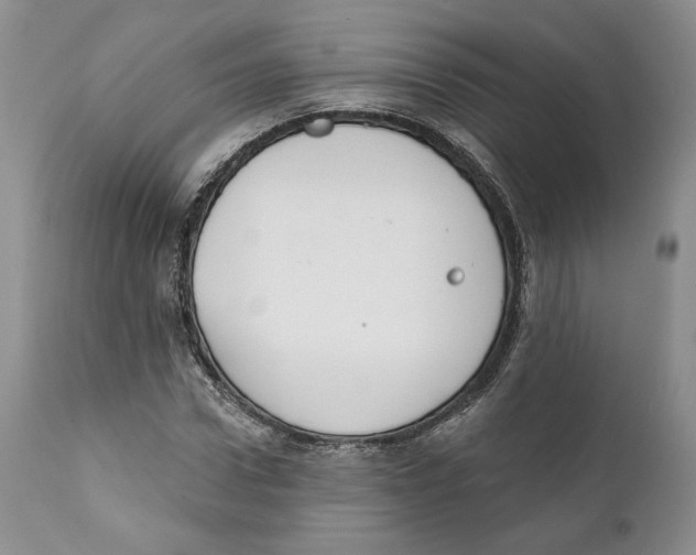 X0000111890922200908201317