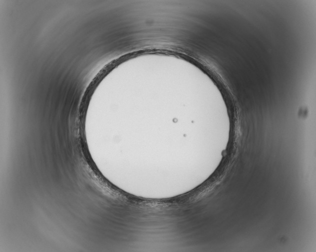 X0000111890924200908201317