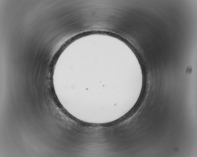 X0000111890926200908201317