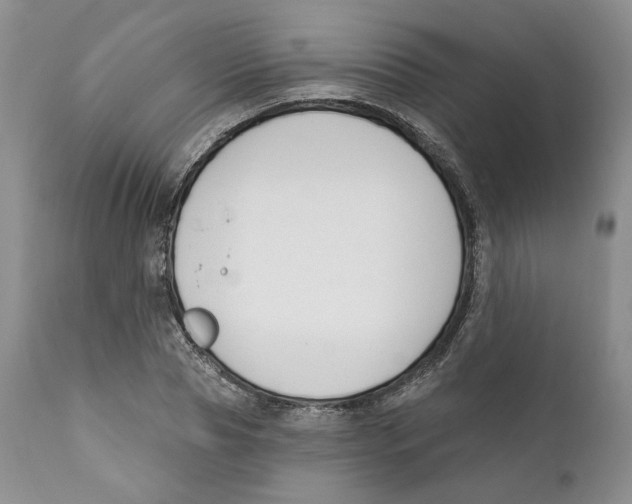 X0000111890929200908201317