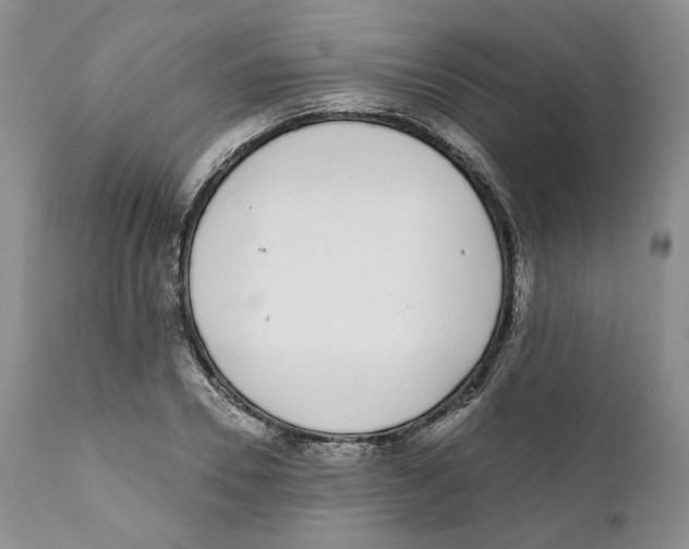 X0000111890930200908201317