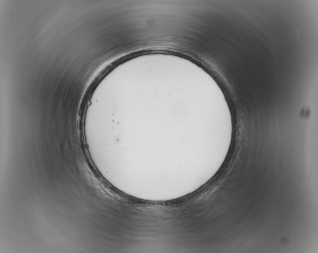 X0000111890932200908201317