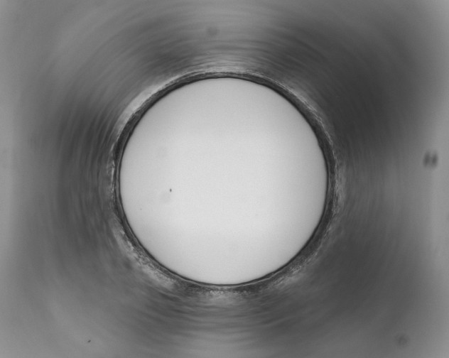 X0000111890933200908201317