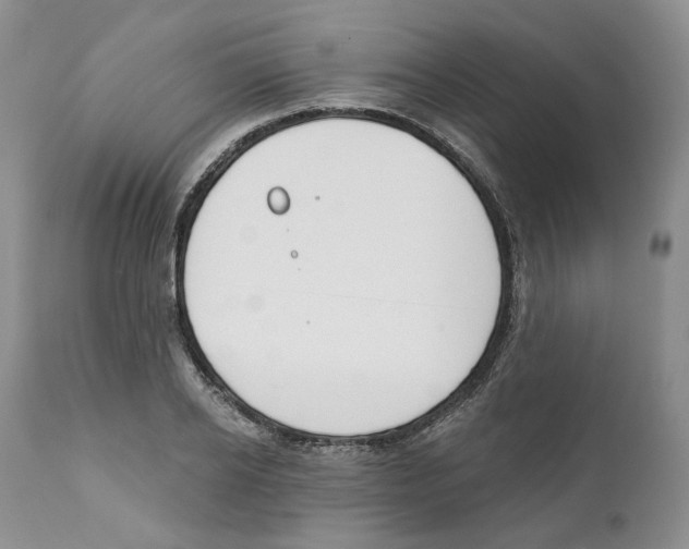 X0000111890934200908201317