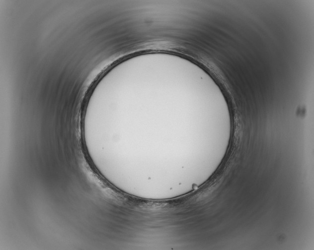 X0000111890939200908201317