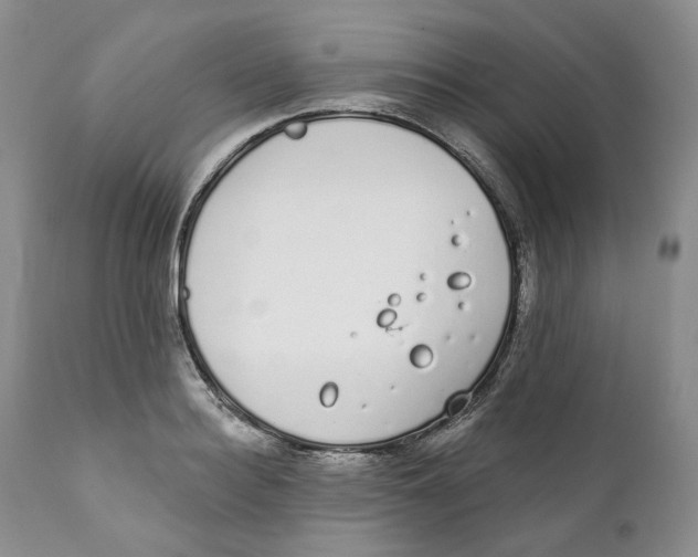 X0000111890940200908201318