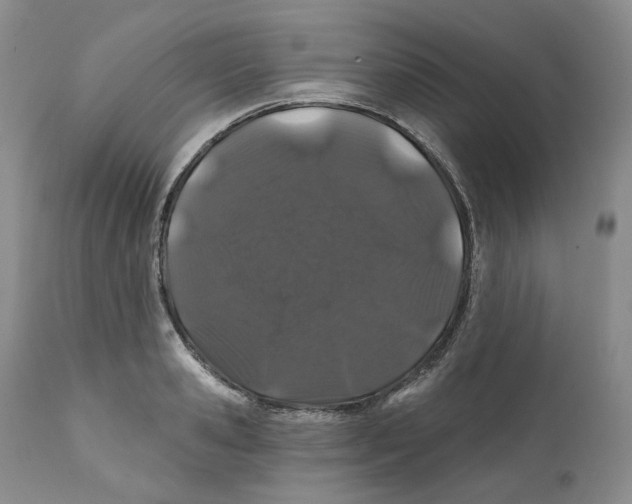 X0000111890941200908201318