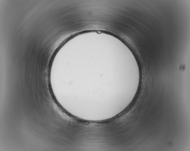 X0000111890942200908201318