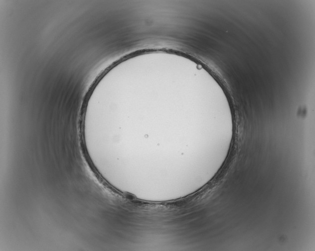 X0000111890943200908201318