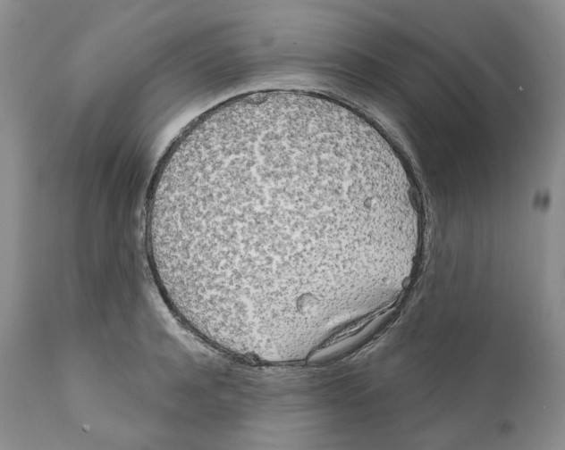 X0000111890944200908201318