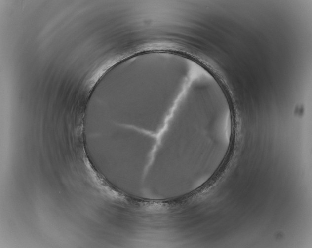 X0000111890945200908201318