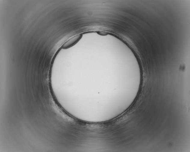 X0000111890946200908201318