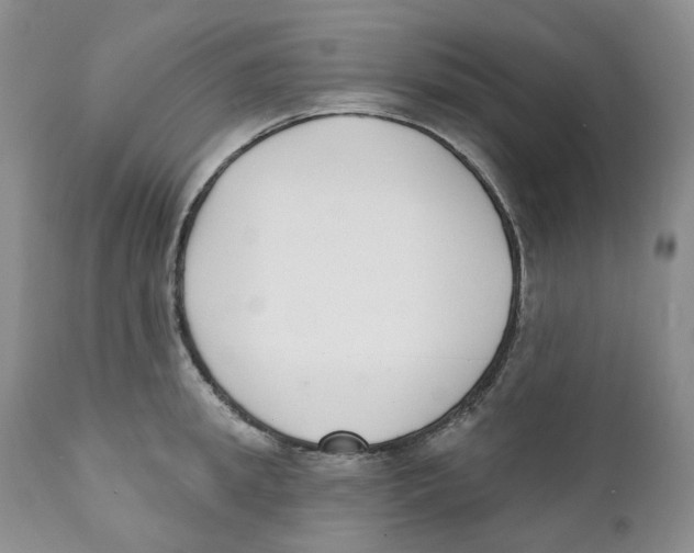 X0000111890949200908201318