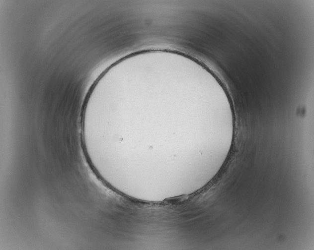 X0000111890951200908201318