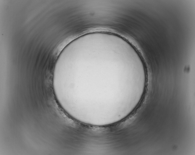 X0000111890953200908201318