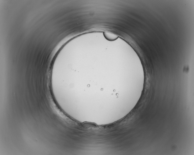 X0000111890955200908201318