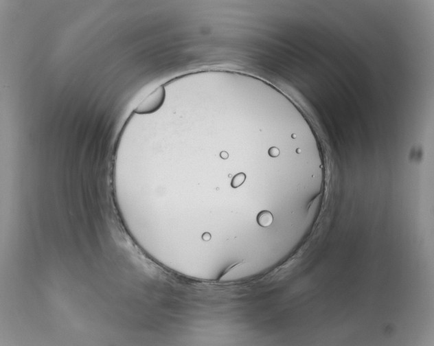 X0000111890956200908201318