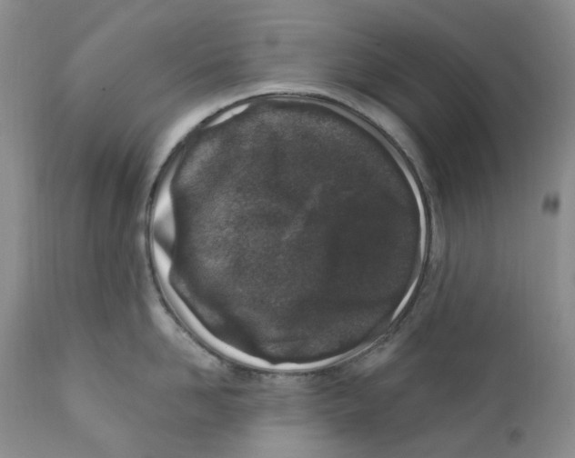 X0000111890958200908201318