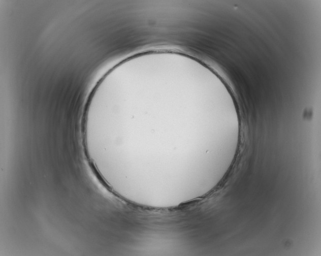 X0000111890959200908201318