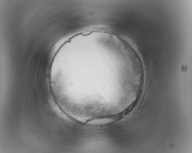 X0000111890960200908201318