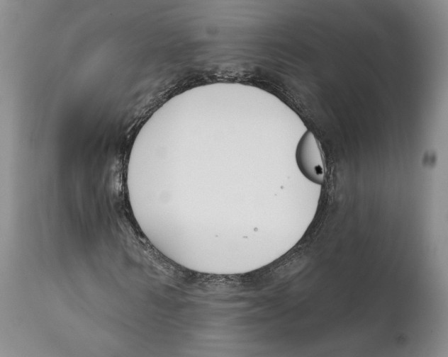 X0000111890962200908201317