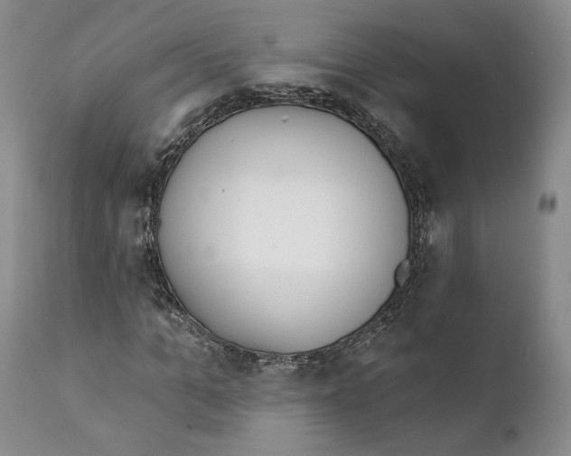 X0000111890965200908201317