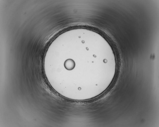 X0000111890969200908201317