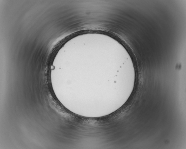 X0000111890971200908201317