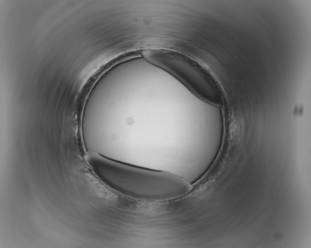 X0000111890973200908201317