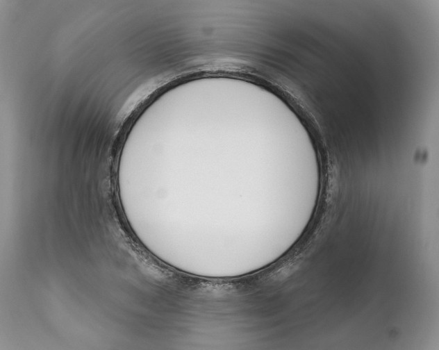 X0000111890978200908201317