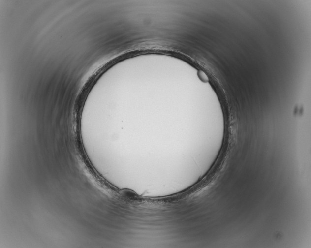 X0000111890981200908201317