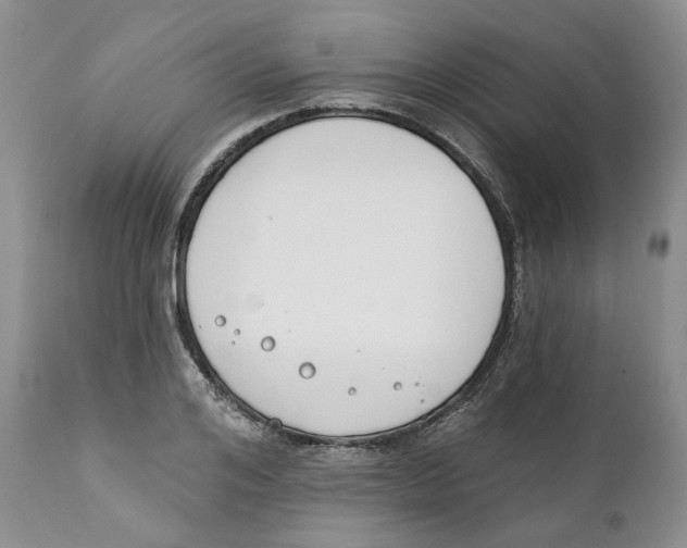 X0000111890984200908201317