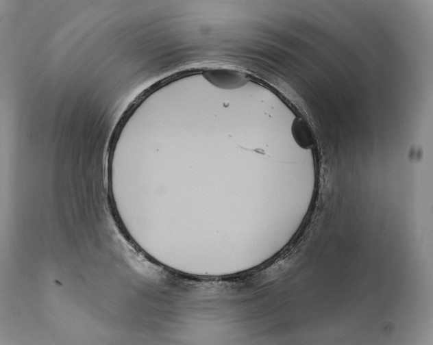 X0000111890988200908201317