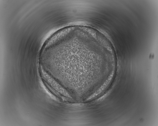 X0000111890989200908201317