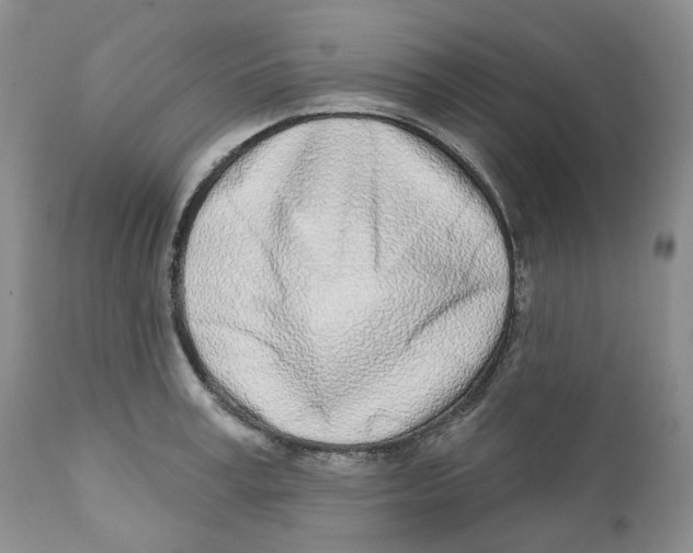 X0000111890995200908201317