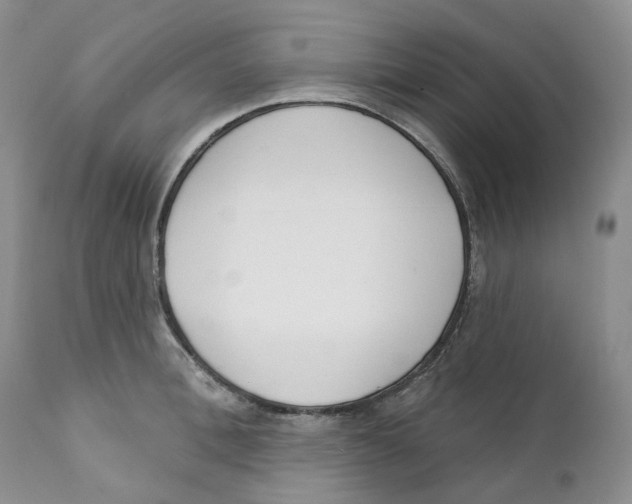 X0000111890996200908201317