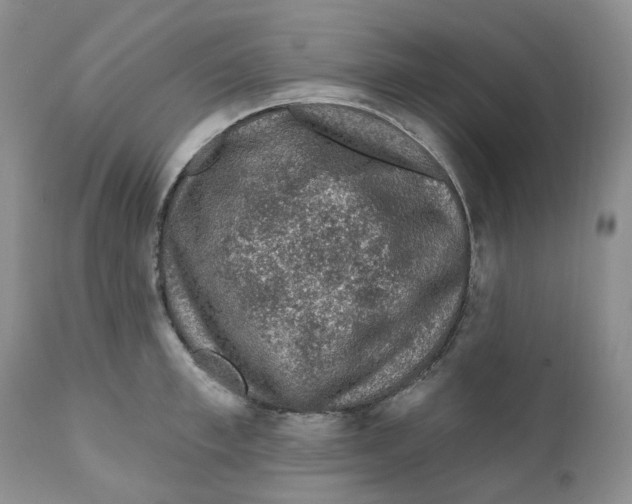 X0000111890997200908201317