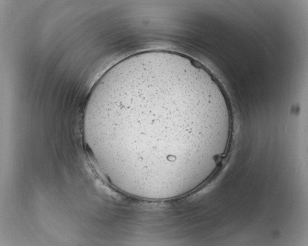 X0000111891001200908201317