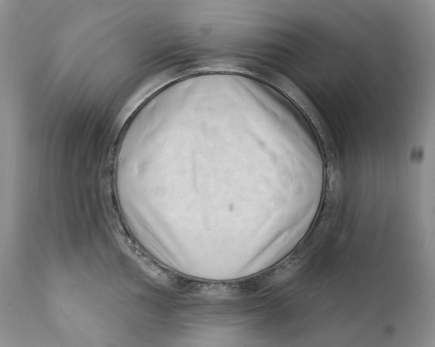 X0000111891002200908201317