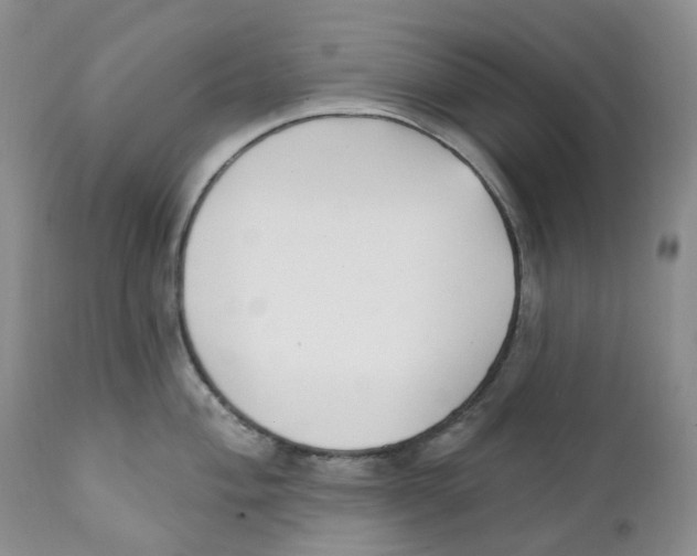 X0000111891004200908201317