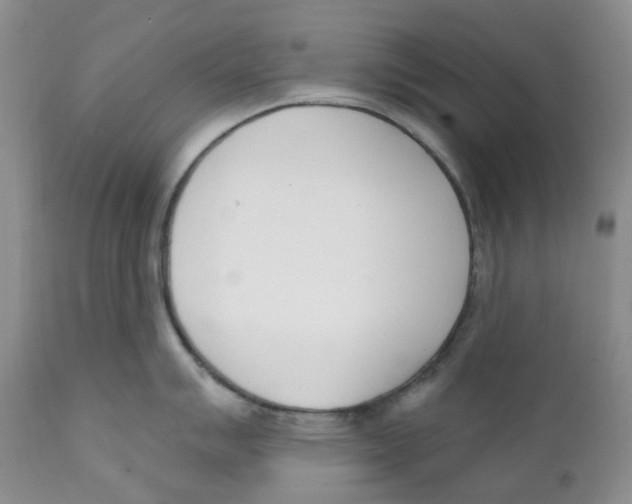 X0000111891007200908201316