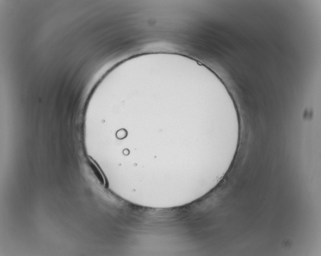 X0000111891008200908201316