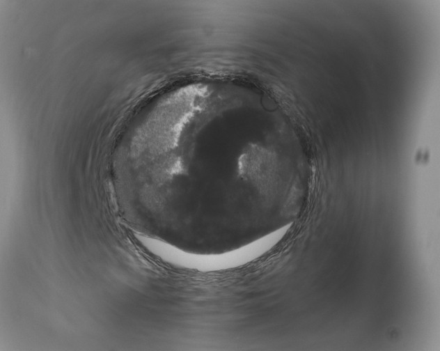 X0000111891009200908201316