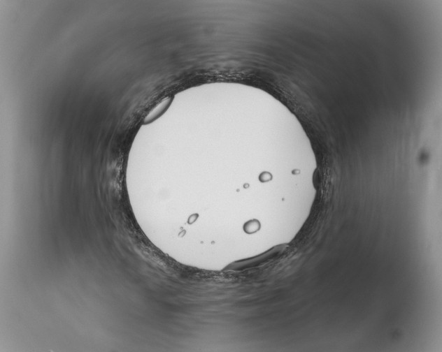 X0000111891010200908201316