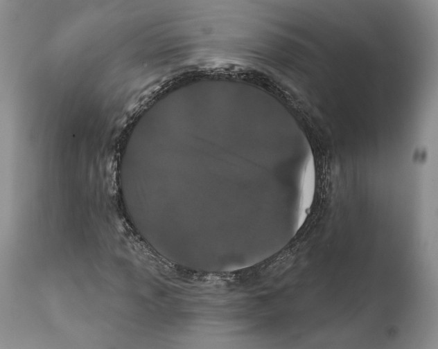 X0000111891013200908201316