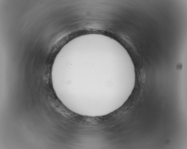 X0000111891015200908201316